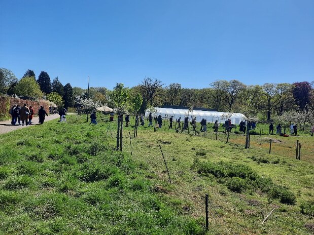 Visit to an urban farm